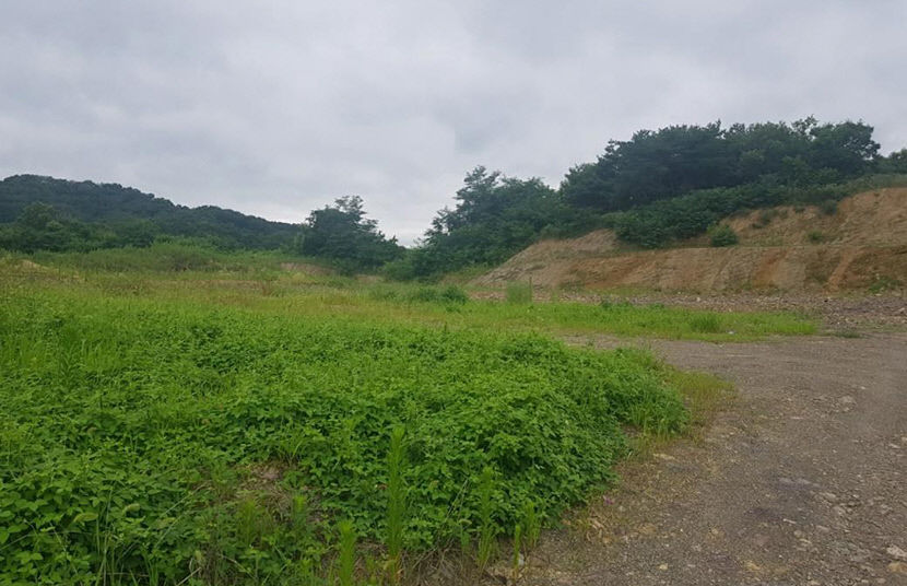[공매 정보] 성주군 대가면 용흥리 440