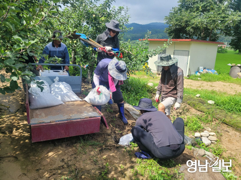 2.봉화_유실밭_정리1(농업기술원-농진청)
