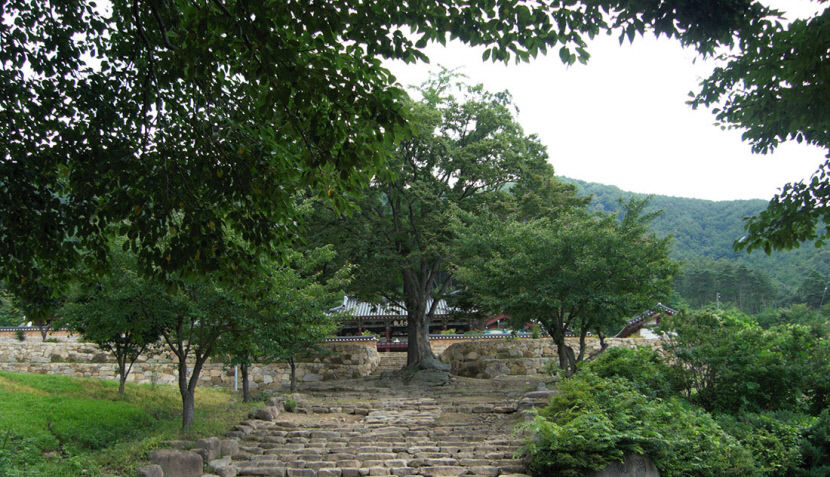 [주말&여행] 경북 경산 환성사, 달이 없어도 물이 보이지 않아도…괜찮다, 괜찮다, 다~ 괜찮다 水月觀