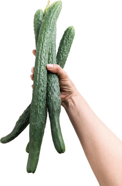 유통가 못난이 농산물로 농가·소비자 氣 살려요