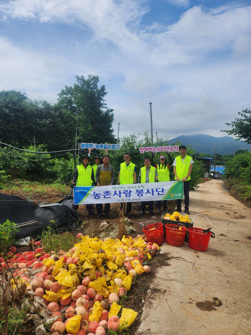 집중 호우 피해 농가로 달려간 농협 직원들