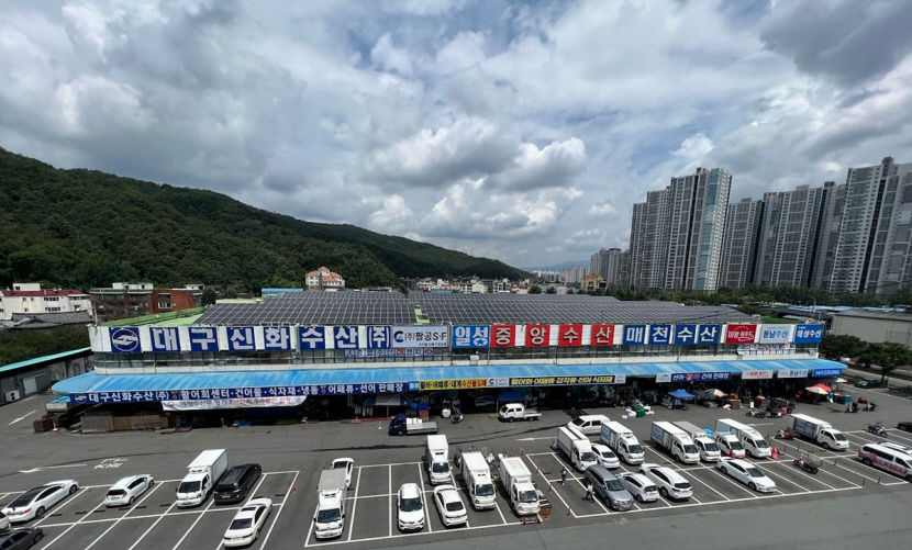 대구농수산물도매시장 수산물 방사능 검사 강화한다
