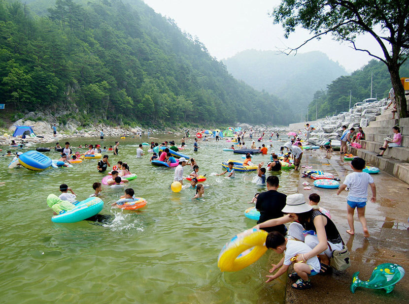 청정영양서 솔바람 마시며 계곡물 샤워·별빛 야행 즐겨요