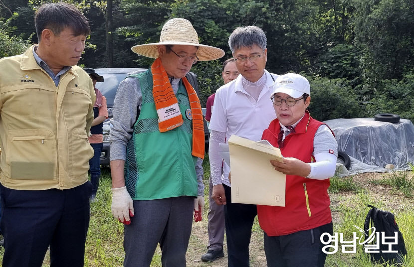 경북도청 및 출자출연기관 간부들 주말 반납하고 폭염 속 구슬땀