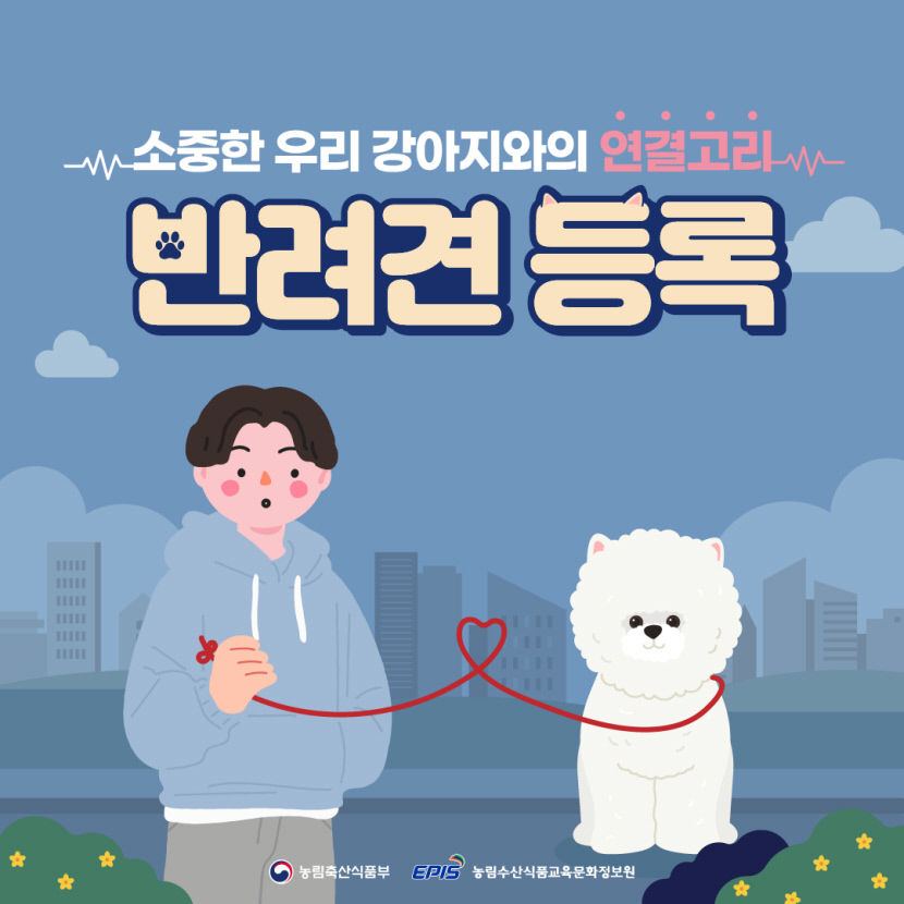 전국 지자체, 10월 반려견 등록 집중 단속