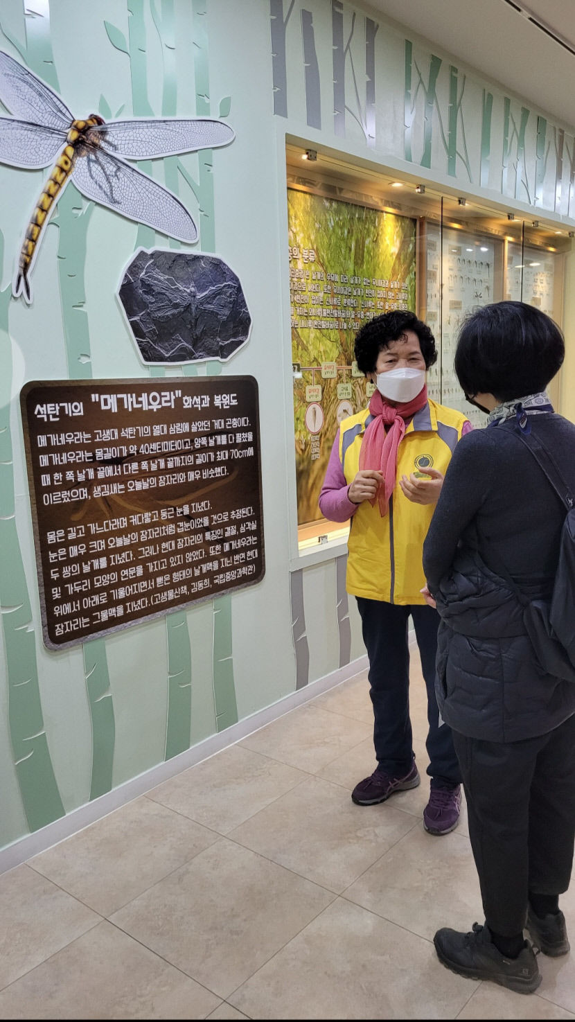 [동네뉴스] 늘 설레고 신나요 대구 봉무공원 나비생태원 신귀분 해설사