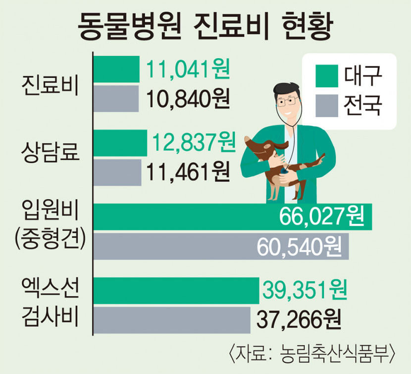 대구 동물병원 진료비 1만1천원…전국 평균보다 비싸