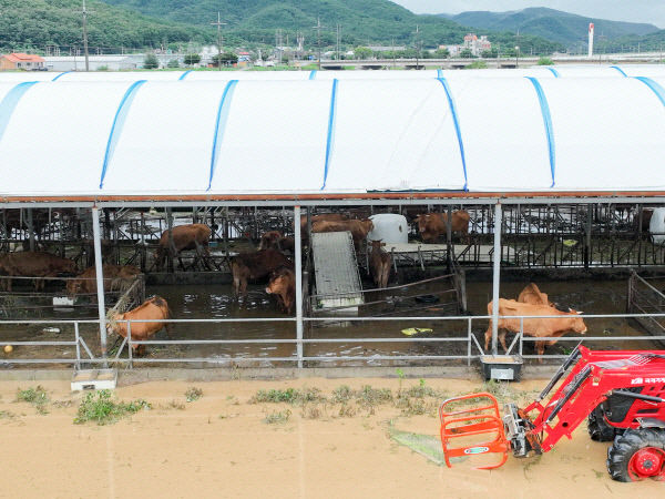 [태풍 카눈] 대구시 군위군에 집중된 피해···1명 숨지고 제방 붕괴로 마을 침수