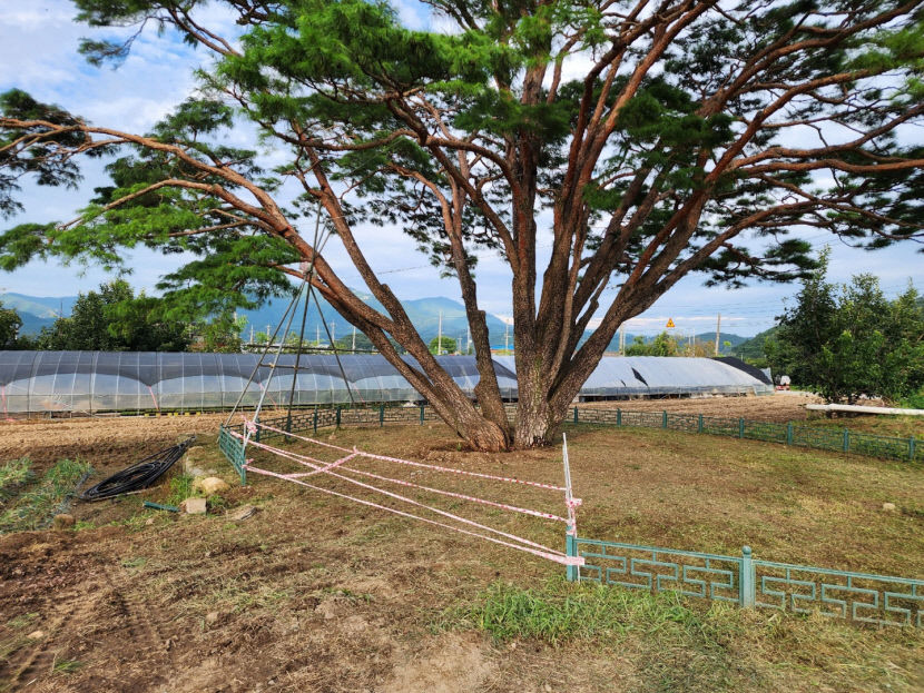 2023081401000459300018711