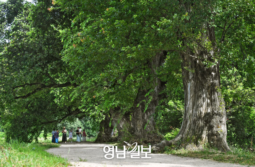 [경산 뉴 파노라마 .5] 둘러볼만한 대표 관광지