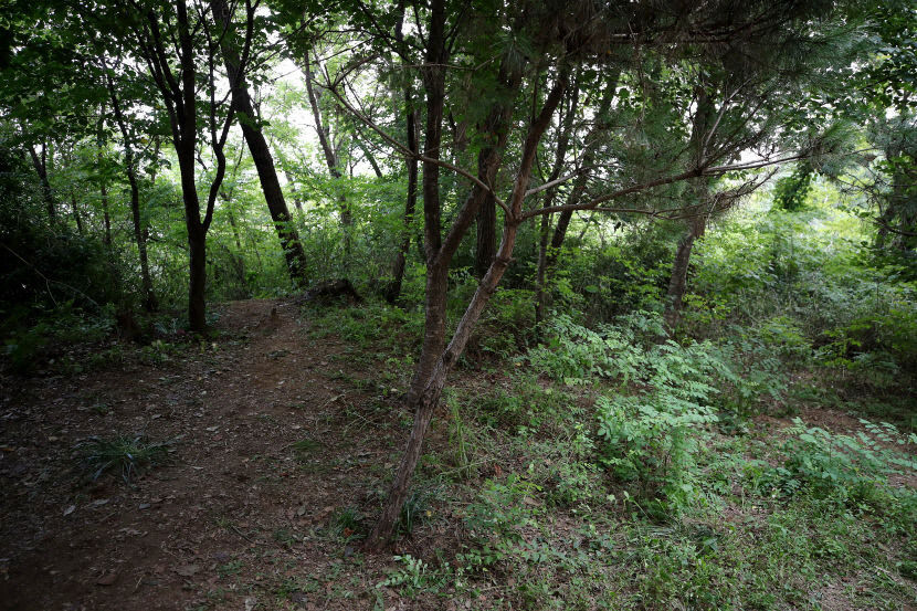서울 신림동 등산로 성폭행 피해자 숨져…최모씨 혐의 강간살인으로 변경될듯