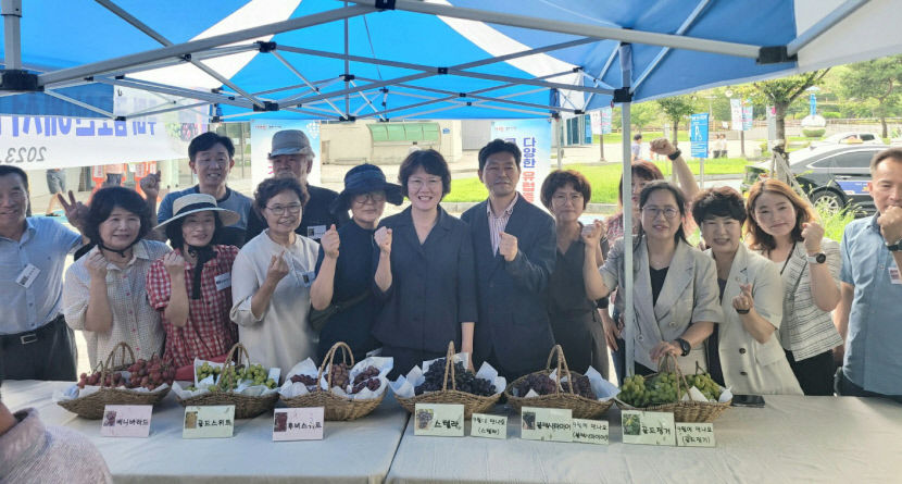 구미시 유럽 종 포도로 소비자 입맛 공략