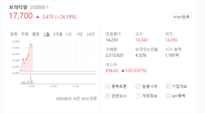 보라티알.jpg