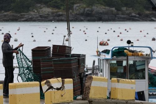 후쿠시마 오염수 방류 결정…경북도, 수산물·어민 지원 팔 걷어 올려
