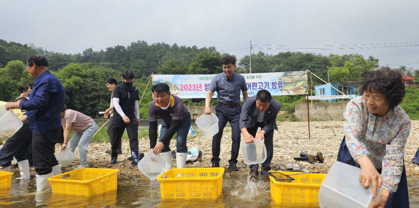 경북도, 잉어류 등 어린고기 100만 마리  방류