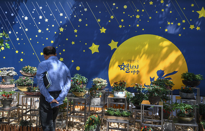 [별 따라 이야기 따라 영양에 취하다 .6]  영양고추 핫 페스티벌