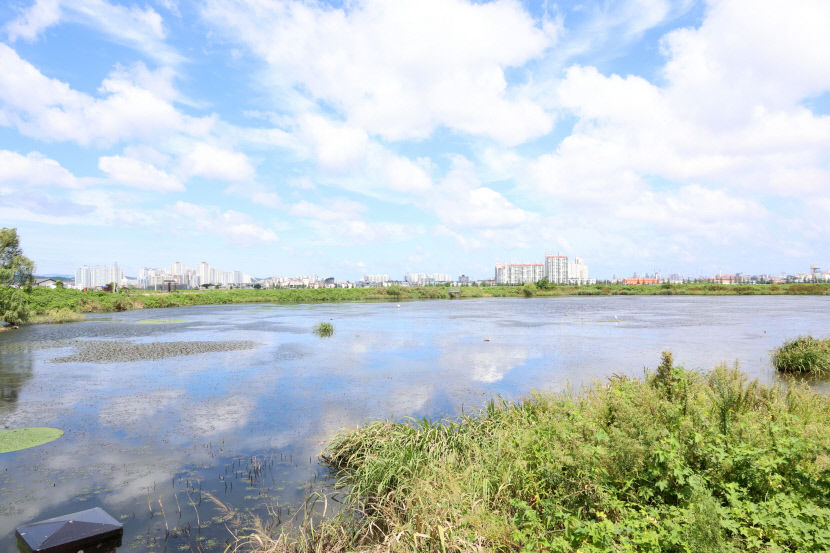 2023090701000209900007861