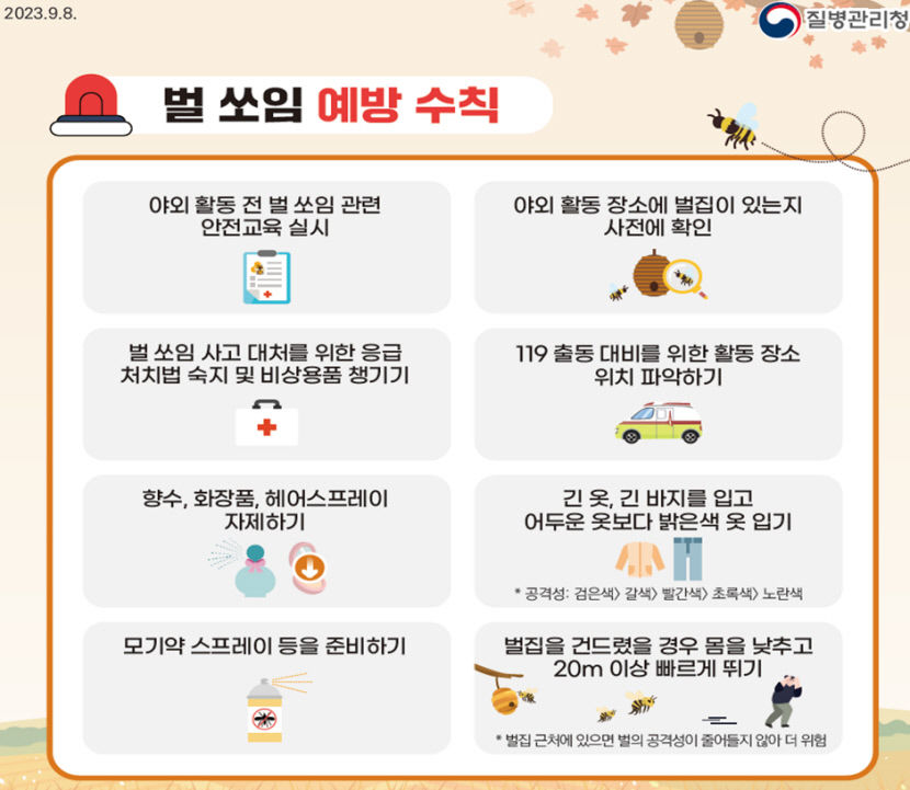 벌 쏘임 응급환자 9월에 가장 많아…벌초 등 야외활동 유의
