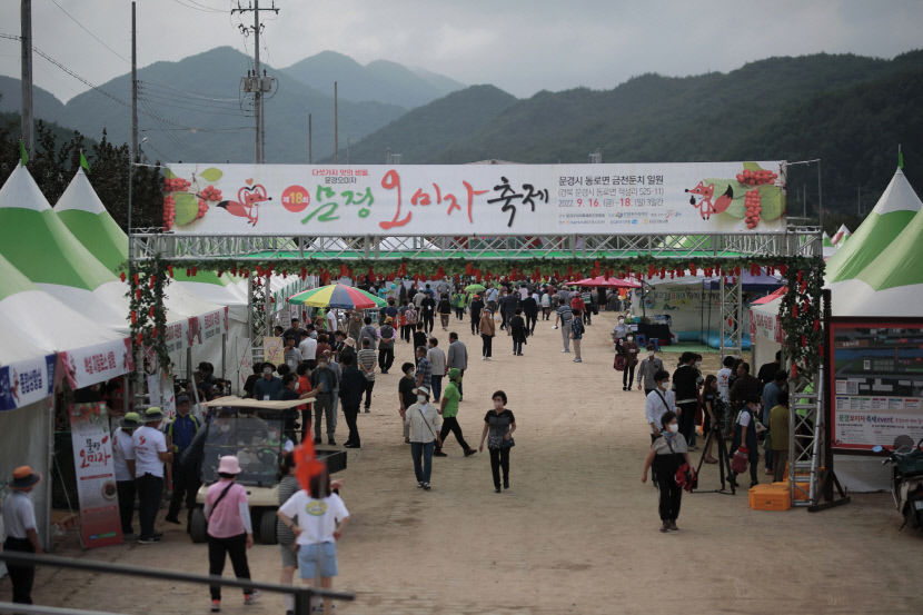 15일부터 문경오미자축제 열려