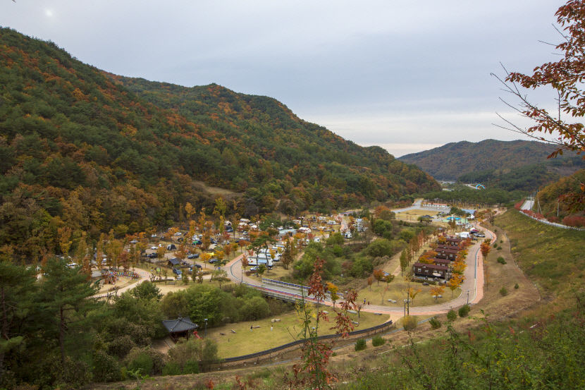 [영주 가볼만한 곳] 소확행·가을 감성여행…영주호 오토캠핑장으로 떠나요