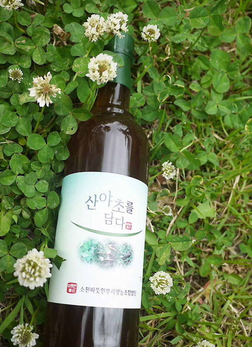 [추석 선물 특집] 봉화군, 봉화장터 농특산물 할인판매