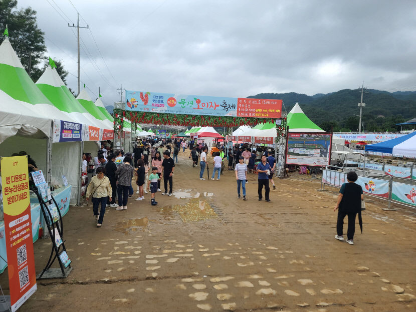 문경오미자축제가 3일간의 일정 성황리에 마무리