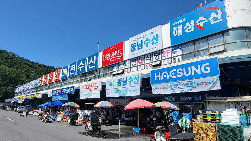 21~27일 대구 농수산물도매시장 40% 환급 행사