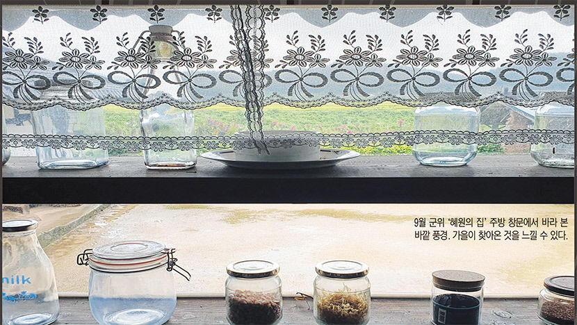 [위클리포유 커버 스토리] 더 넓고, 더 깊어진 대구의 가을 속으로 군위 ②소리없이 익어가는 군위의 가을 어린시절 할머니 댁 정겨움 닮아