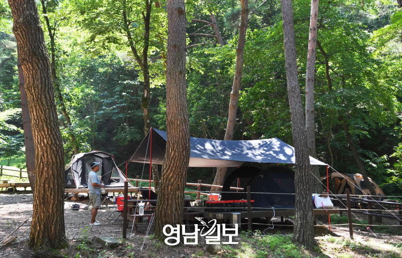 [별 따라 이야기 따라 영양에 취하다 .7] 검마산자연휴양림과 수비능이버섯축제…울창한 숲·시원한 계곡…별천지를 거닐다