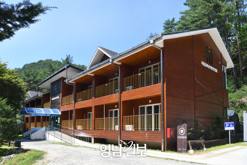 [별 따라 이야기 따라 영양에 취하다 .7] 검마산자연휴양림과 수비능이버섯축제…울창한 숲·시원한 계곡…별천지를 거닐다