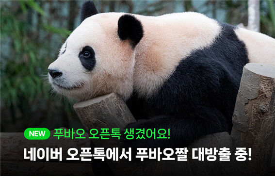 [트렌드 트립] 푸바오 굿즈 받을 기회 푸바오와 쌍둥이 동생들 이벤트…카톡도 인스타처럼 카카오톡 펑