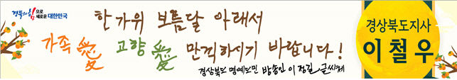 현수막 글씨체가 왜 저래?…다양한 경북도 귀성객 환영 현수막 눈길
