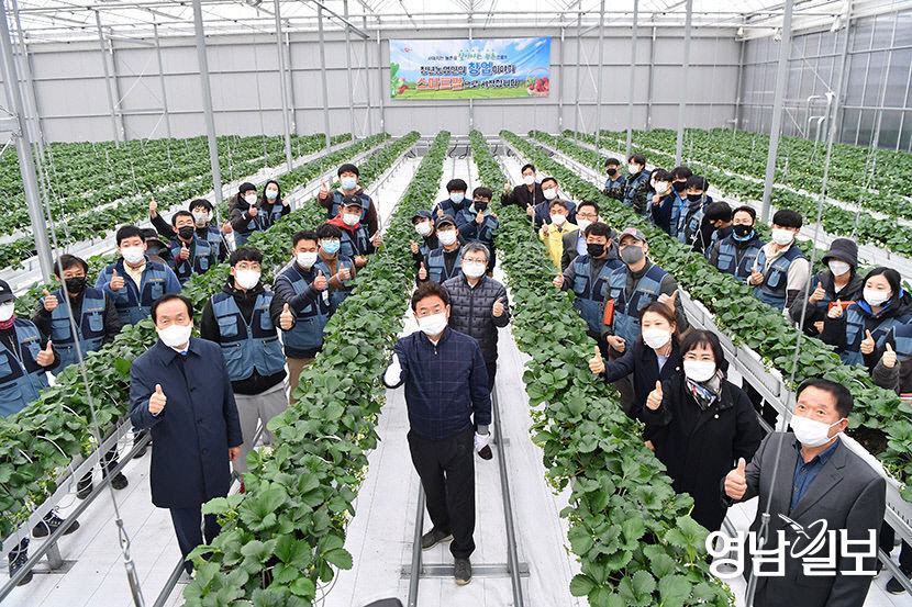 경북도, 첨단 스마트 농업 속도 낸다…사과·마늘 등 노지 과일로 확대