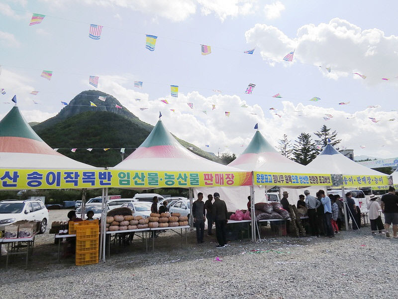 청도 운문산 송이·능이·표고버섯 축제…추석연휴 내달 1~3일 개최