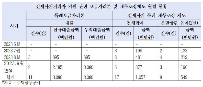 전세사기피해자 6천명 넘는데…주택금융지원은 28건에 그쳐