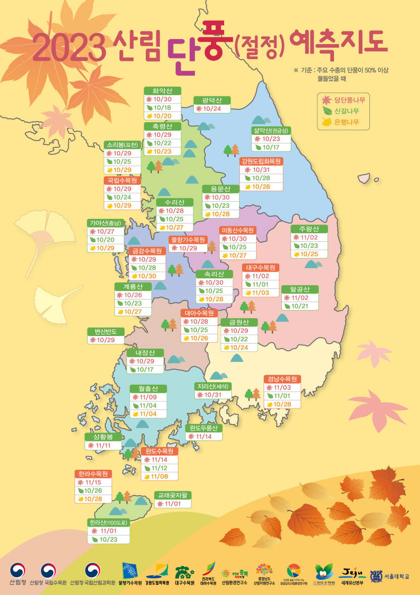 대구 팔공산 첫 단풍 다음달 20일, 절정기 11월1일