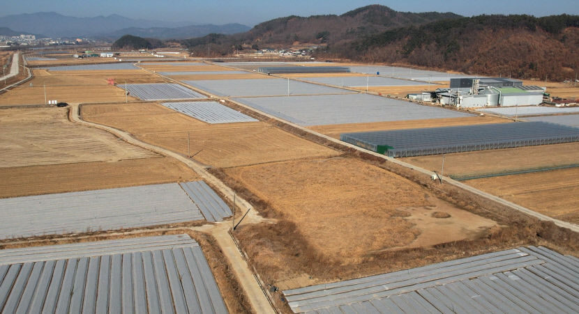 경북도 농업대전환 시즌 2 시동…공동 영농 체계화 본격 추진