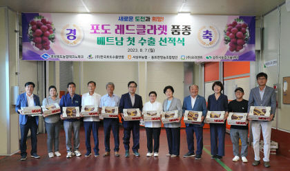 포도 생산 1등 경북도, 2028년까지 레드클라렛 등 포도 신품종 수출단지 500ha 조성한다