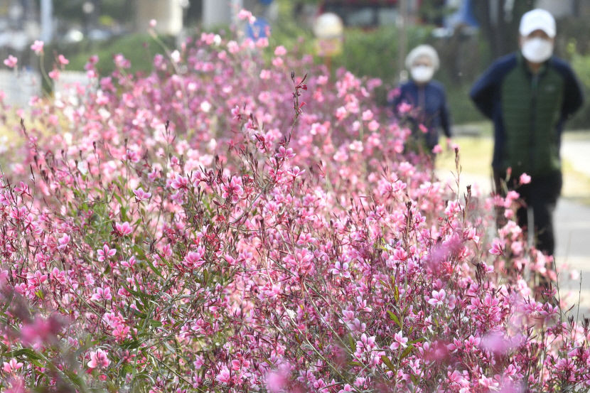 2023100401000057500002361