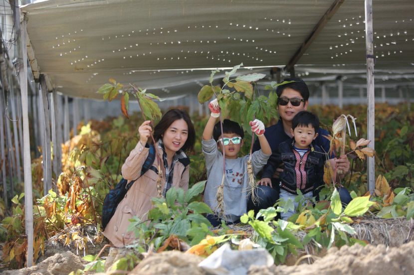코로나 엔데믹 맞은 첫 가을, 영주서 다양한 축제 잇따라 펼쳐져…