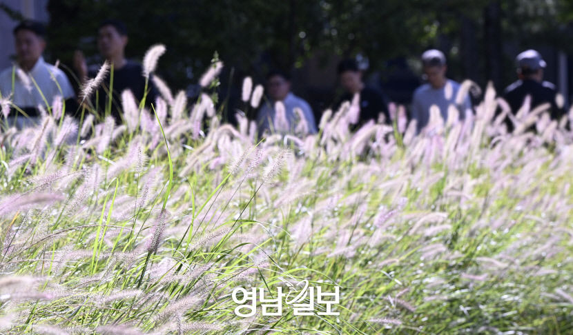 [포토뉴스] 아! 가을인가