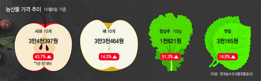 나들이 철인데...대구지역 농산물 가격 널뛰어