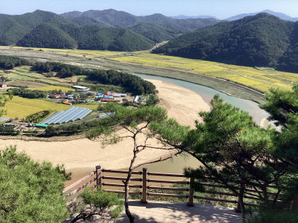 수해 복구 해프닝 vs 문화재 훼손 국가 명승지 회룡포 탐방로 확장 뒷말 무성