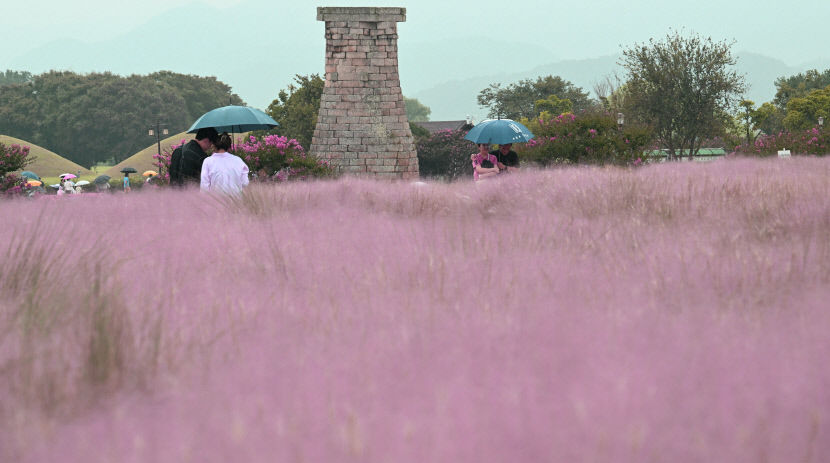 오늘 오전 대구·경북 대부분 빗방울…동해안 너울 주의