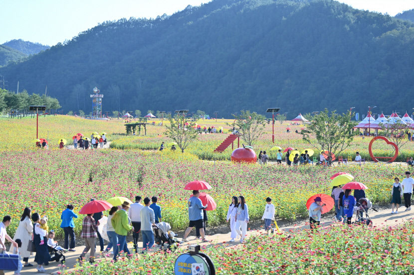 산소카페 청송정원 10만 인파 돌파