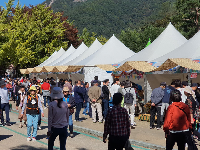 2023 문경사과축제 오는 14일 개막 29일까지 16일간 열려