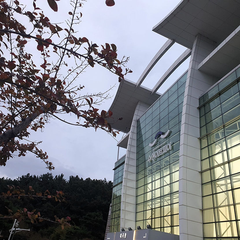 [위클리포유 커버 스토리] 더 넓고, 더 깊어진 대구의 가을  중구·수성구 ②공연·전시 풍성 수성구…마에스트로 숨결 속 감동·전율 느끼러 예술투어