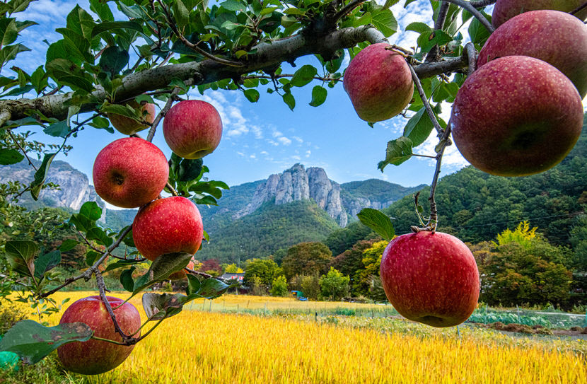 권요한씨 주왕산2 대상, 권병수씨 비경 금상…총 62점 수상