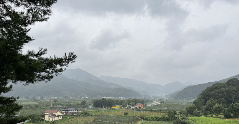 [영남일보-대구경북학회 공동기획 경북의 마을 지붕 없는 박물관]  문경 적성리·노은2리 마을-오미자의 고장