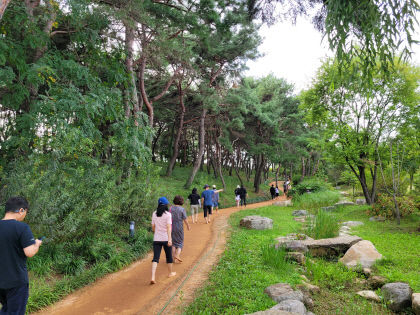 경북도청사 천년숲, 대한민국 최우수 도시숲 선정